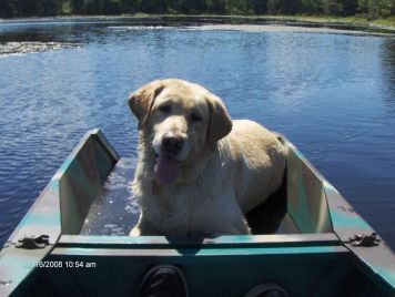 Woodwork Wooden Duck Boat Plans PDF Plans